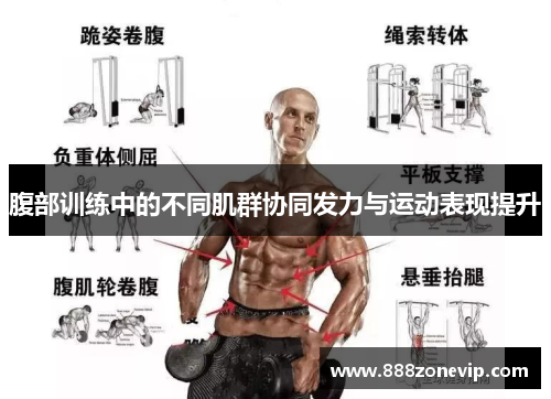 腹部训练中的不同肌群协同发力与运动表现提升